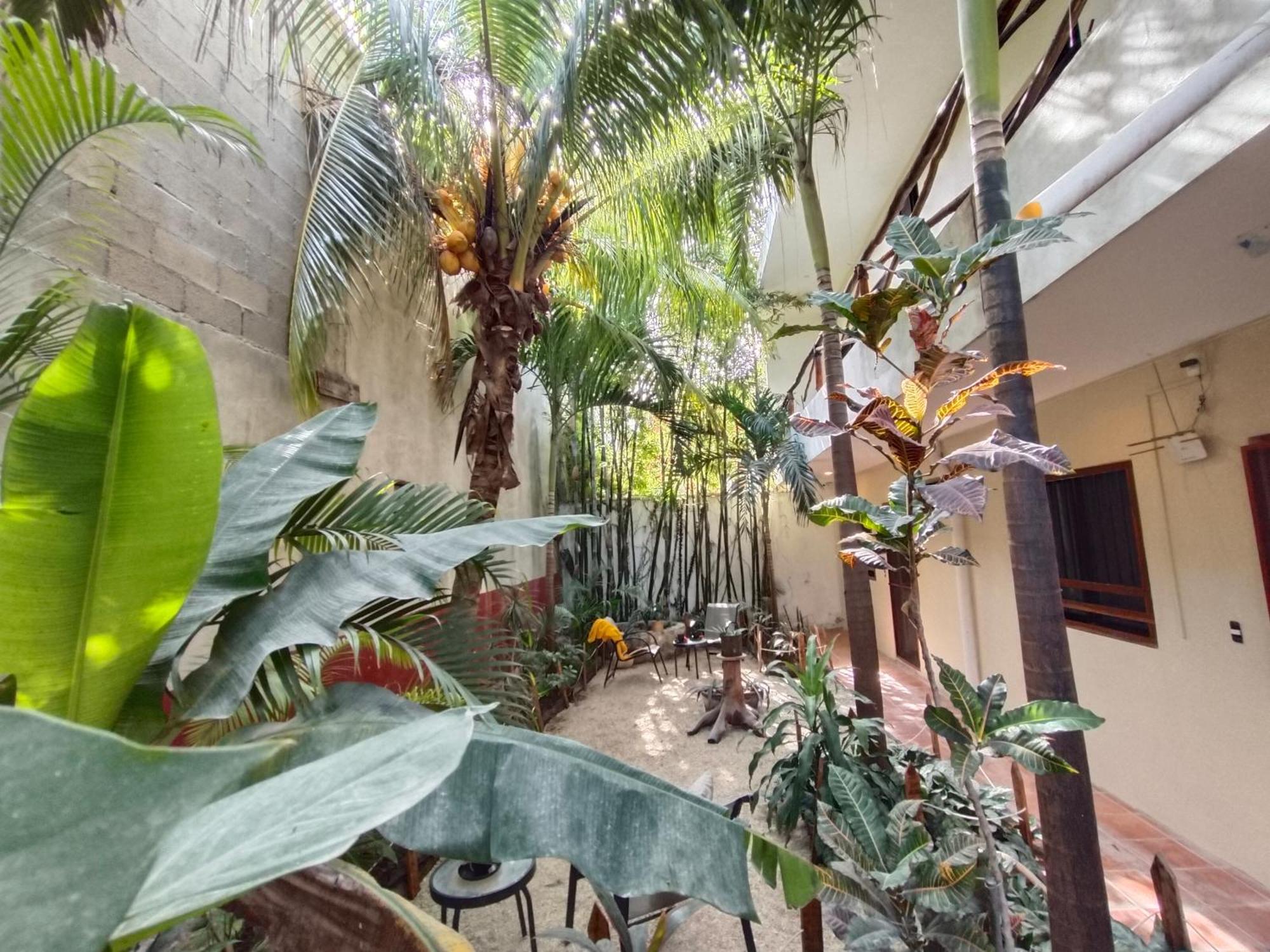 Casa Lupita Hotel Tulum Bagian luar foto
